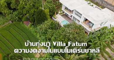 บ้านทุ่งนา Villa Fatum ความงดงามในแบบโมเดิร์นบาหลี