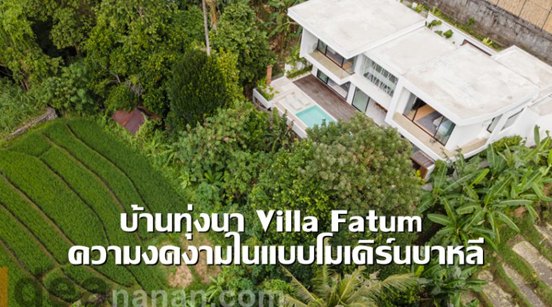 บ้านทุ่งนา Villa Fatum ความงดงามในแบบโมเดิร์นบาหลี